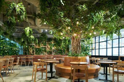 【残り2枠】8/29 親睦会@中目黒カフェ☕️✨