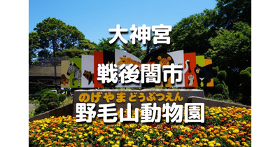 昭和が色濃く残る野毛エリア。美空ひばり、戦後闇市など、動物園と合わせて歴史散歩します♪