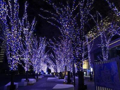 クリスマス楽しむ準備できてますか？！六本木けやき坂通りイルミネーションを見に行こう♪みんなでハピネスを共有しよう♪ディズニーみたいな世界観♪初心者OK♪一人参加OK♪自衛隊OK