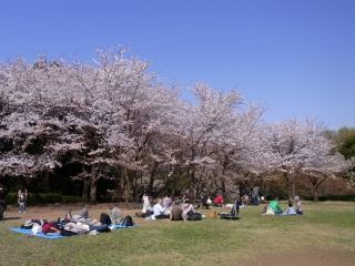 ゆるり【春の花散策in横浜】