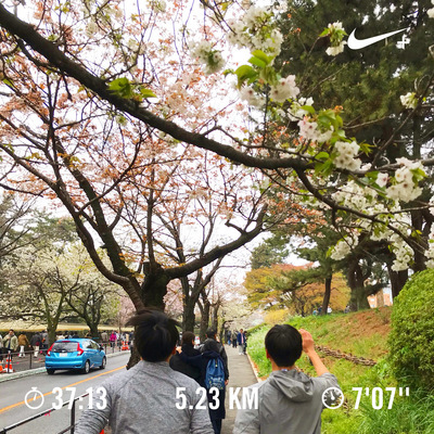 ギャラリー｜🏃‍♀️皇居ランニング 🏃‍♀️
