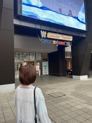 ギャラリー｜【神奈川・東京】ゆる映画サークル