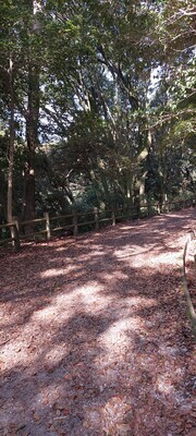 ギャラリー｜⛰️～初心者向け🔰登山サークル～🌳🍃