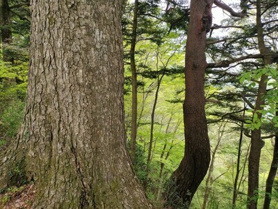 ギャラリー｜宮城仙台登山