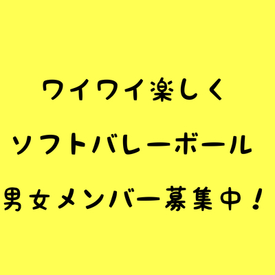 ギャラリー｜ワイワイ楽しくソフトバレー‪⸜(*ˊᵕˋ*)⸝‬
