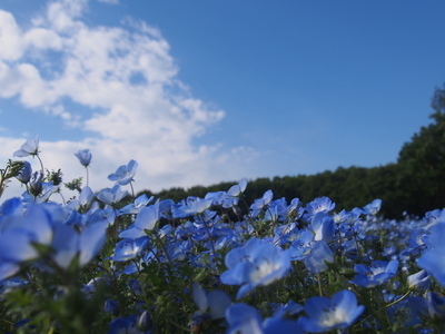 ギャラリー｜県民の集い