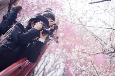 ギャラリー｜SMARTCAMERA 写真サークル　サクかめ