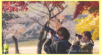 ギャラリー｜Photo Circle Lien