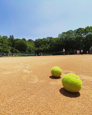 ギャラリー｜✨NT✨-Nagoya Tennis-