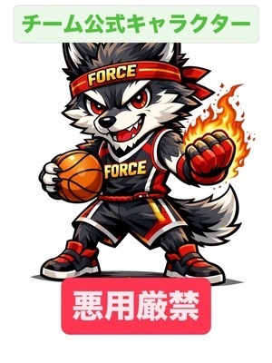 ギャラリー｜個人バスケチームforce(フォルス)