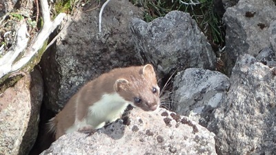ギャラリー｜北見勤労者山岳会（北見労山）