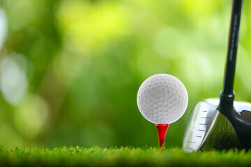 ギャラリー｜⛳ゆったり楽しむ大人のゴルフ😊男女参加者募集
