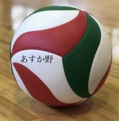 ギャラリー｜あすか野バレーボール部　奈良県　生駒市白庭台　レディース