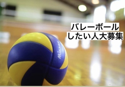 ギャラリー｜Let's enjoy volley ball games