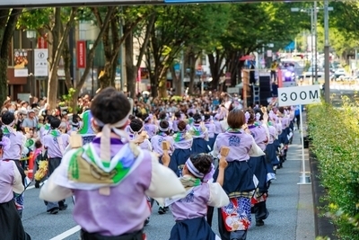 ギャラリー｜東京よさこい SummerZipper（サマージッパー） 