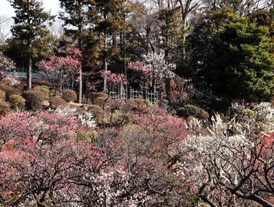 ギャラリー｜写真仲間