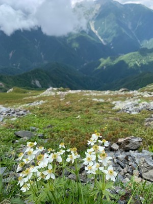 ギャラリー｜【募集一旦停止】ゆっくり山を楽しむ　穏やかな雰囲気の少人数サークル【首都圏発・20-30代】