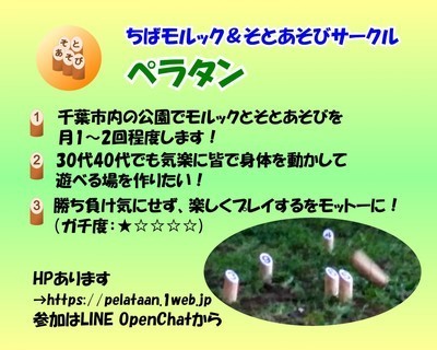 ギャラリー｜ちばモルックそとあそびサークルぺラタン