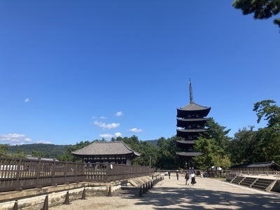 ギャラリー｜京都！奈良！寺社仏閣めぐり