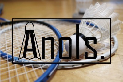 ギャラリー｜社会人バドミントンサークル【Anois.】