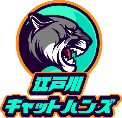 ギャラリー｜江戸川キャットハンズ