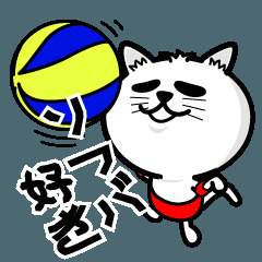ギャラリー｜徳島ソフトバレーサークル