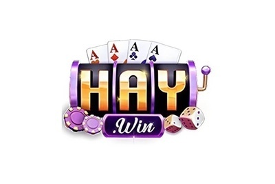 ギャラリー｜haywini com