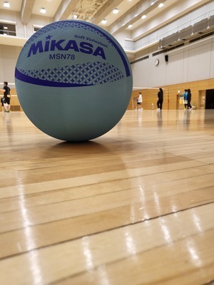 ギャラリー｜東京都 初心仕向けバレー