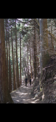 ギャラリー｜登山アウトドアサークル　20代〜30代前半限定