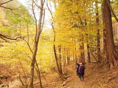 ギャラリー｜【募集要件変更】【埼玉 登山・アウトドアサークル】登山やアウトドアを楽しみたいメンバー募集中です！