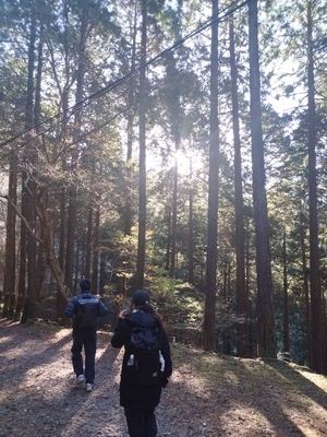 ギャラリー｜初心者登山部🏔✨
