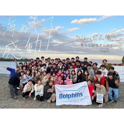 ギャラリー｜Dolphins✴︎インターカレッジ（スキューバダイビング）