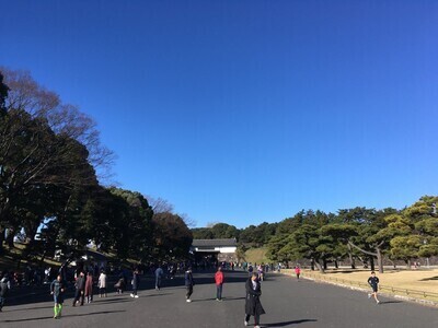 ギャラリー｜東京オウルズランニングクラブ【皇居ラン】