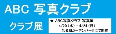 ギャラリー｜ABC写真クラブ