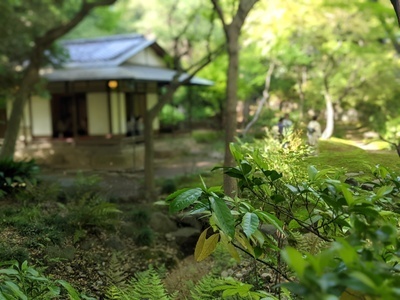 ギャラリー｜日本・台湾・香港の絆_密