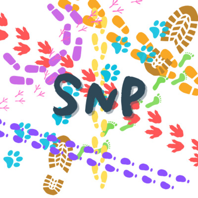 ギャラリー｜SNP
