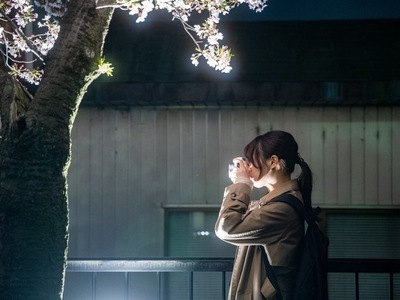 ギャラリー｜晴れた日は_photo_walk