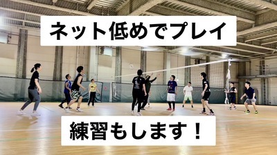 ギャラリー｜楽ソフトバレー