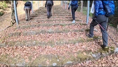 ギャラリー｜ゆる山遊び　わさびの会　