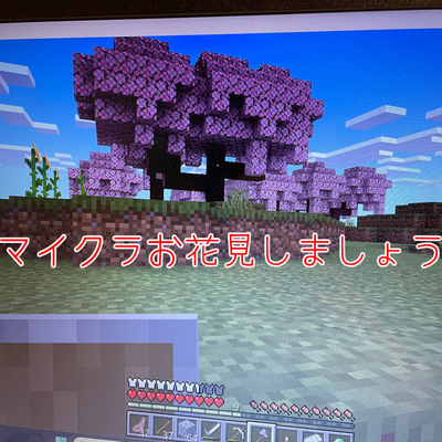 ギャラリー｜発達障害・不登校の方向けマイクラサークル