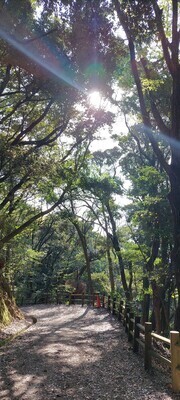 ギャラリー｜⛰️～初心者向け🔰登山サークル～🌳🍃
