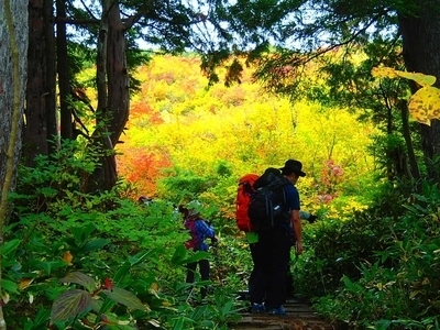 ギャラリー｜東京登山サークル( Instagram,Webあり)