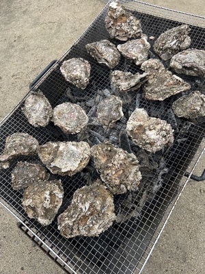 ギャラリー｜徳島香川バーベキュー🍖🐟