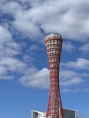 ギャラリー｜36℃のフィルム