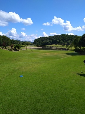ギャラリー｜ドルフィン