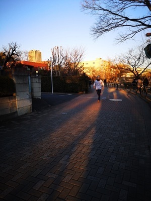 ギャラリー｜Social Running Tokyo（略してＳＲＴ）