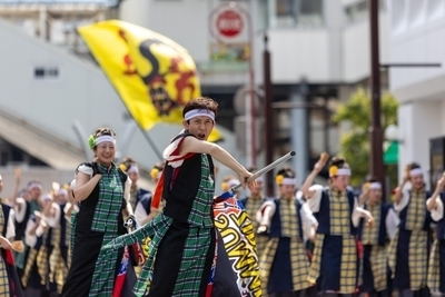 ギャラリー｜東京よさこい SummerZipper（サマージッパー） 