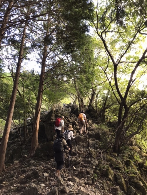 ギャラリー｜愛知◯楽しい登山◯初心者歓迎◯土日祝