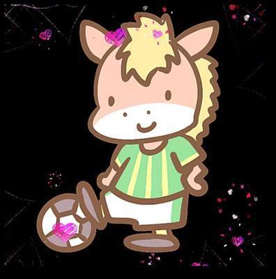 ギャラリー｜キャプテンホース