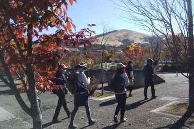 ギャラリー｜のんびり気軽に山の会